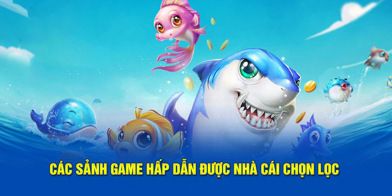 Các sảnh game hấp dẫn được nhà cái chọn lọc